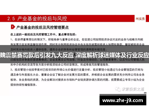魏震禁赛罚款后引发九大反应 深度解析球迷媒体及行业反应